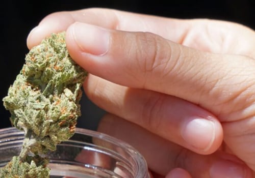 Is delta-8 flower just cbd?
